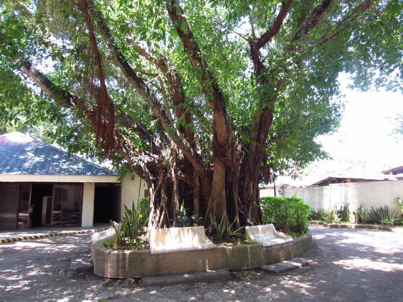 Park Hill Hotel Lapu-Lapu City Esterno foto